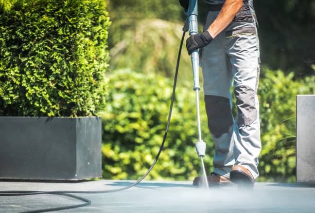 Best Driveway Cleaning and Restoration in Beaumont, TX