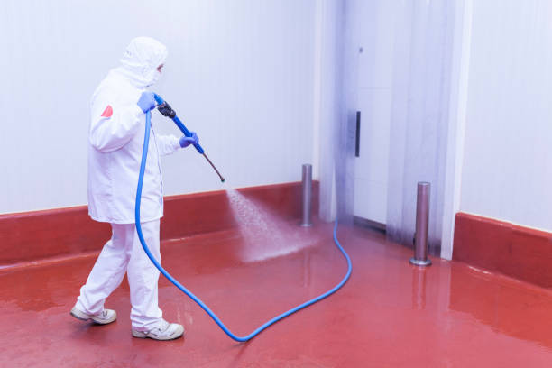 Best Roof Cleaning and Mildew Removal in Beaumont, TX