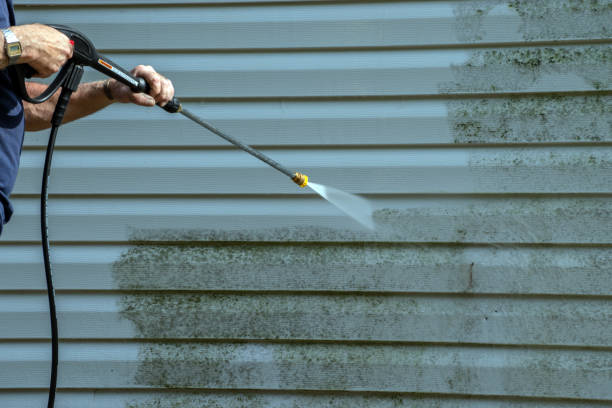 Reliable Beaumont, TX Pressure Washing Services Solutions