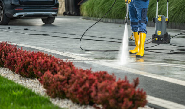 Best Concrete Surface Cleaning in Beaumont, TX